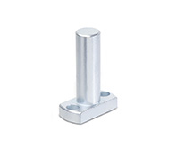 GN 480-Flanged bolts